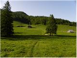 Kraljev hrib - Planina Rzenik